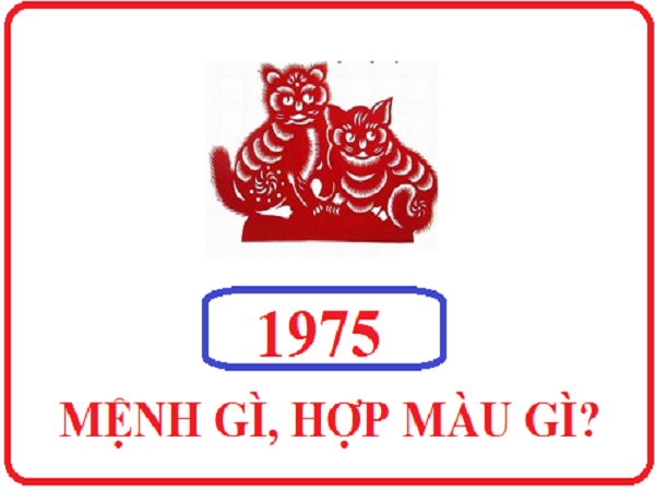 Tuổi Ất Mão sinh năm 1975 hợp màu gì để mang lại may mắn?