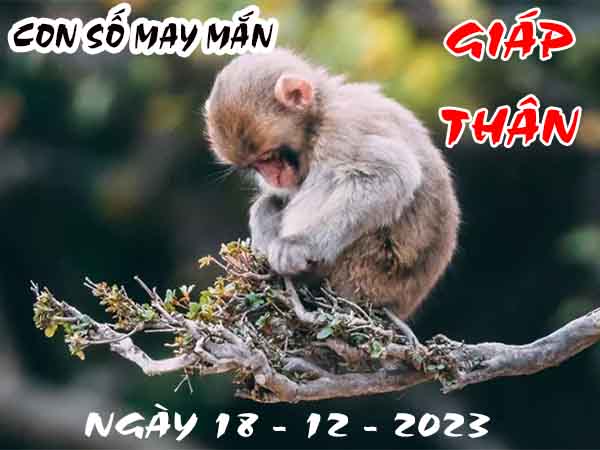 Dự đoán con số may mắn tuổi Giáp Thân ngày 18/12/2023