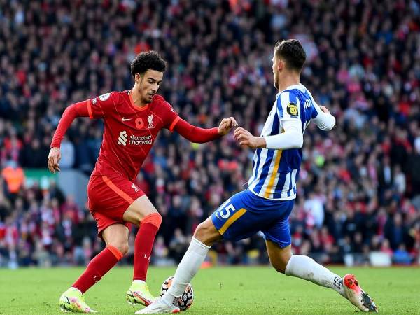 Dự đoán bóng đá Liverpool vs Brighton 3h00 ngày 15/2