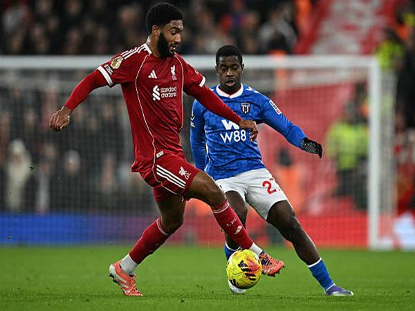 Noah Sadiki – Mảnh ghép tiềm năng cho Liverpool?