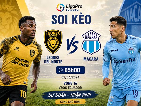 Nhận định kèo Leones del Norte vs Macara lúc 05h00 ngày 02/06 Nhận định kèo Leones del Norte vs Macara lúc 05h00 ngày 02/06